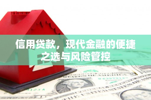 雨花信用贷款，现代金融的便捷之选与风险管控
