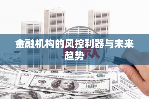 大邑金融机构的风控利器与未来趋势