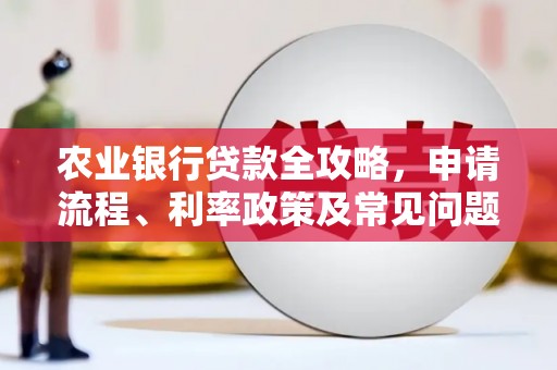玄武农业银行贷款全攻略，申请流程、利率政策及常见问题解析