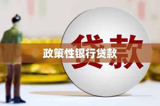 五河政策性银行贷款