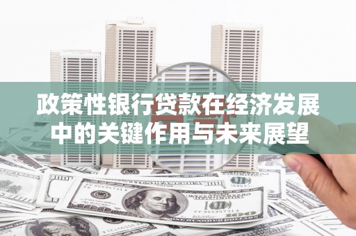 白河政策性银行贷款在经济发展中的关键作用与未来展望