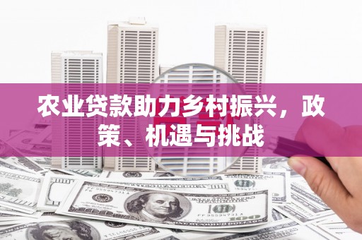 澜沧农业贷款助力乡村振兴，政策、机遇与挑战