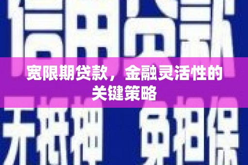 龙凤宽限期贷款，金融灵活性的关键策略