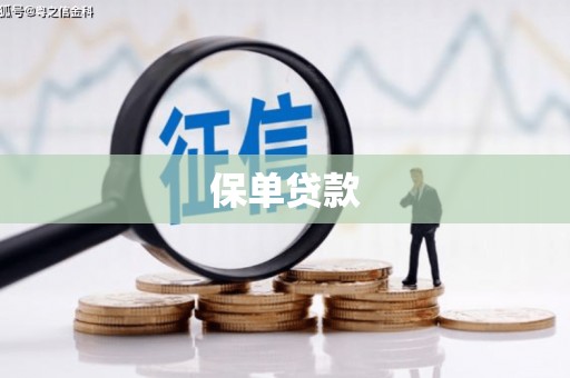 户县保单贷款