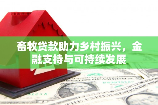 革吉畜牧贷款助力乡村振兴，金融支持与可持续发展
