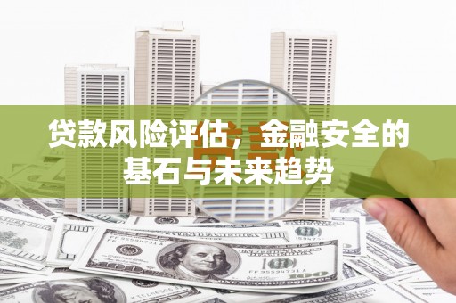 平陆贷款风险评估，金融安全的基石与未来趋势