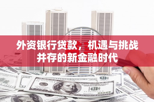 蒙阴外资银行贷款，机遇与挑战并存的新金融时代