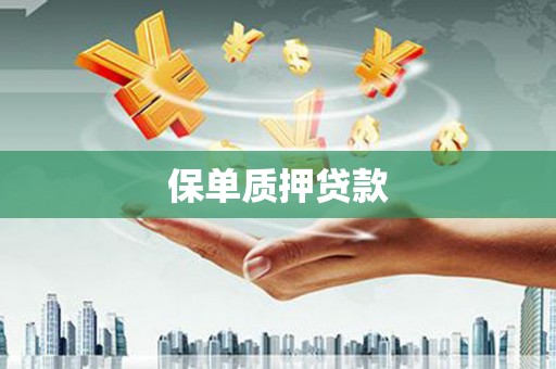 麻山保单质押贷款