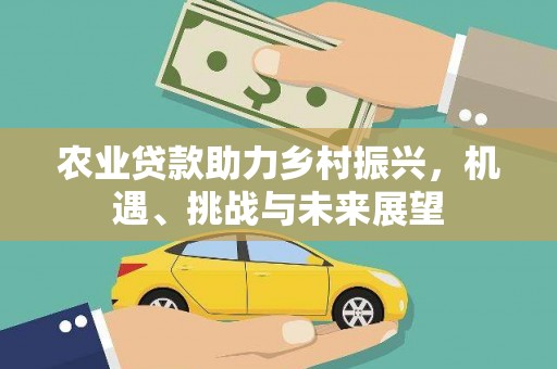 合山农业贷款助力乡村振兴，机遇、挑战与未来展望