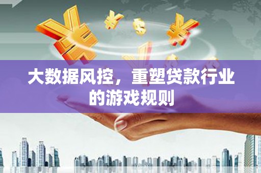 台南大数据风控，重塑贷款行业的游戏规则