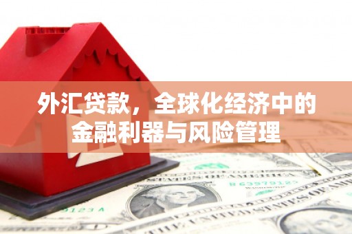 阜平外汇贷款，全球化经济中的金融利器与风险管理