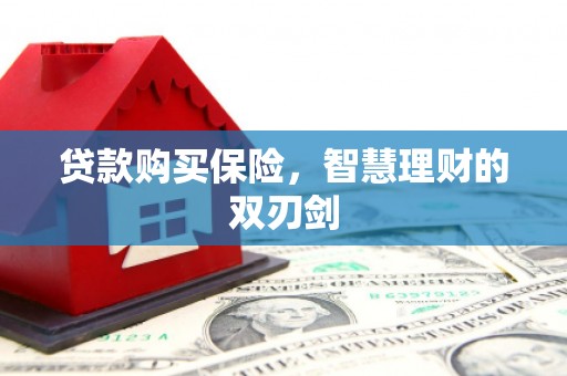 清城贷款购买保险，智慧理财的双刃剑