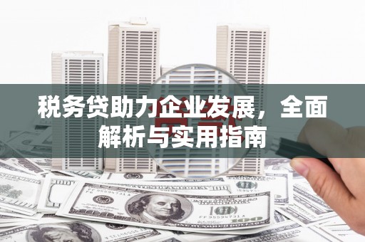 颍泉税务贷助力企业发展，全面解析与实用指南