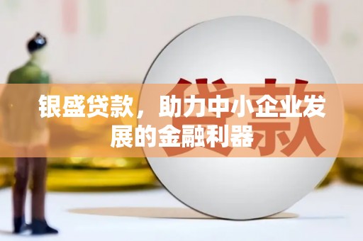 聂荣银盛贷款，助力中小企业发展的金融利器