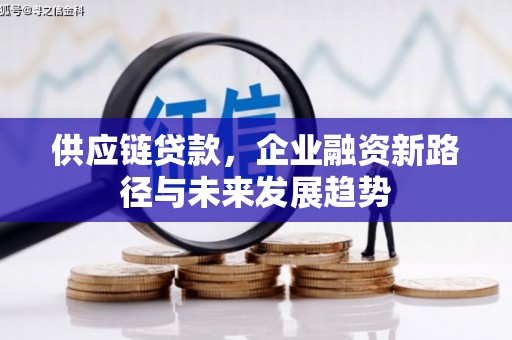 金阳供应链贷款，企业融资新路径与未来发展趋势
