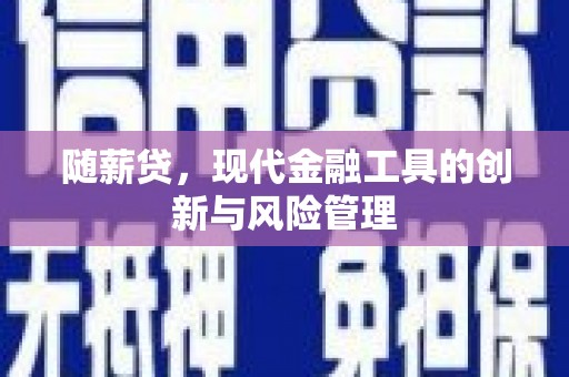 望江随薪贷，现代金融工具的创新与风险管理