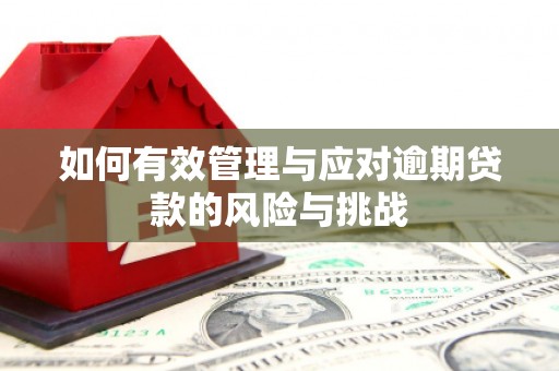 清远如何有效管理与应对逾期贷款的风险与挑战
