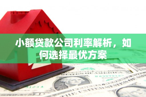溆浦小额贷款公司利率解析，如何选择最优方案