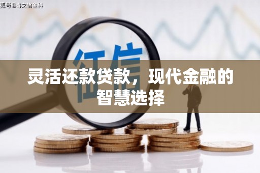 金湖灵活还款贷款，现代金融的智慧选择