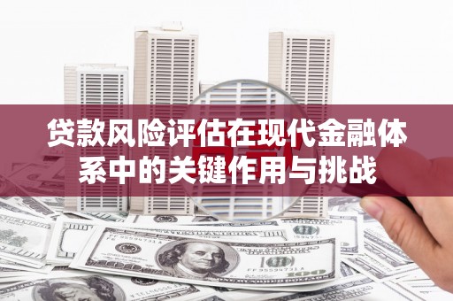 大堂贷款风险评估在现代金融体系中的关键作用与挑战