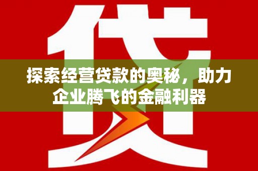 永寿探索经营贷款的奥秘，助力企业腾飞的金融利器