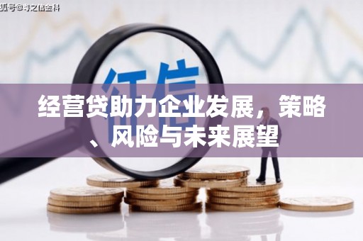 连山经营贷助力企业发展，策略、风险与未来展望