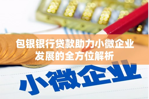 乌伊岭包银银行贷款助力小微企业发展的全方位解析 乌伊岭包银银行贷款助力小微企业发展的全方位解析