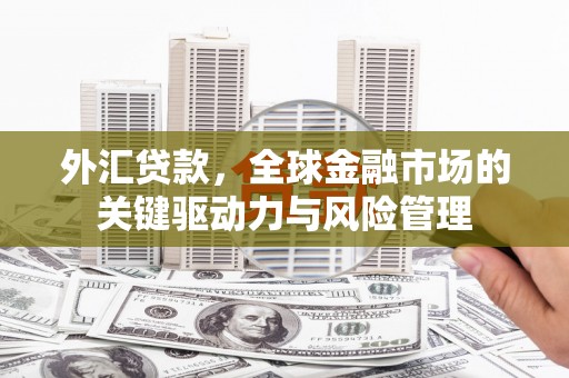 虾峙外汇贷款，全球金融市场的关键驱动力与风险管理