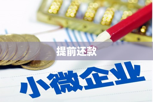 霍尔果斯提前还款