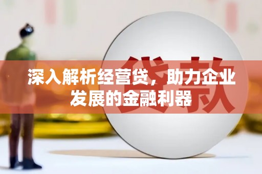合山深入解析经营贷，助力企业发展的金融利器