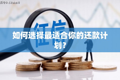 白水如何选择最适合你的还款计划？