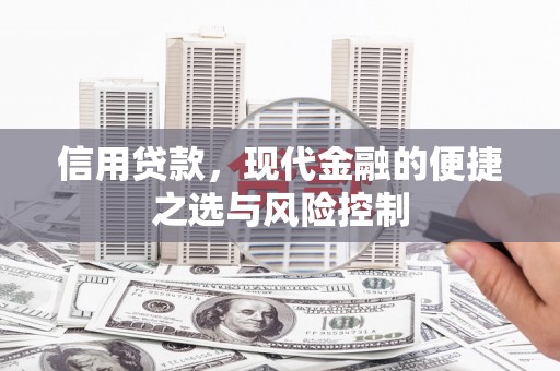 平南信用贷款，现代金融的便捷之选与风险控制