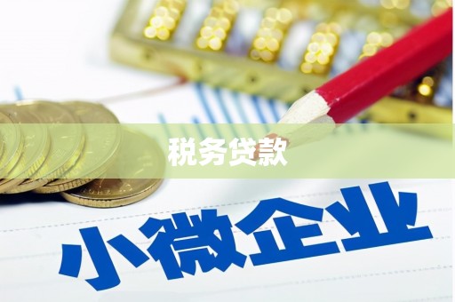 芒市税务贷款