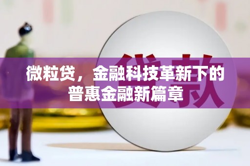 柳东微粒贷，金融科技革新下的普惠金融新篇章
