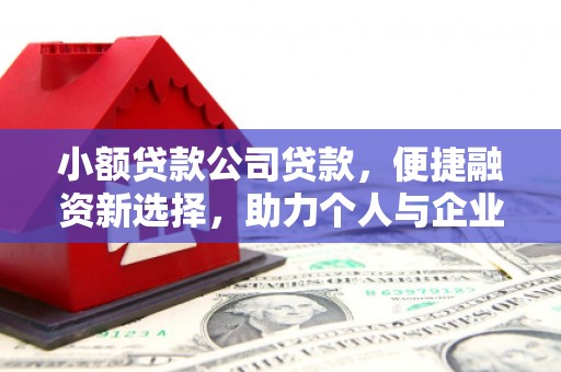海拉尔小额贷款公司贷款，便捷融资新选择，助力个人与企业成长