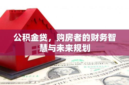 芦竹公积金贷，购房者的财务智慧与未来规划