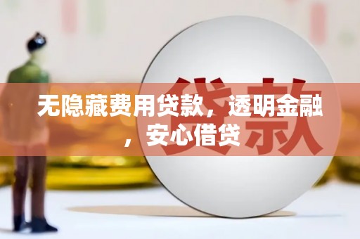 成武无隐藏费用贷款，透明金融，安心借贷