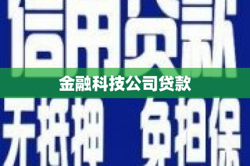 淮上金融科技公司贷款
