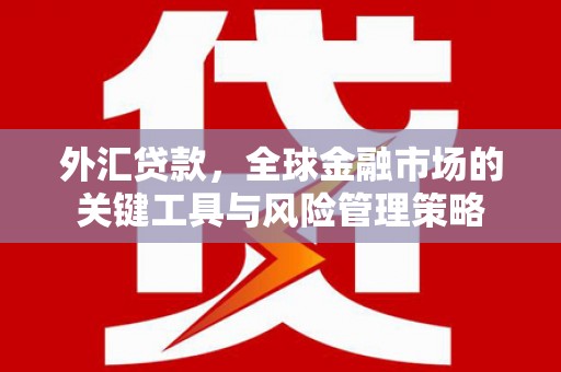 从化外汇贷款，全球金融市场的关键工具与风险管理策略