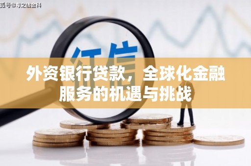 浉河外资银行贷款，全球化金融服务的机遇与挑战