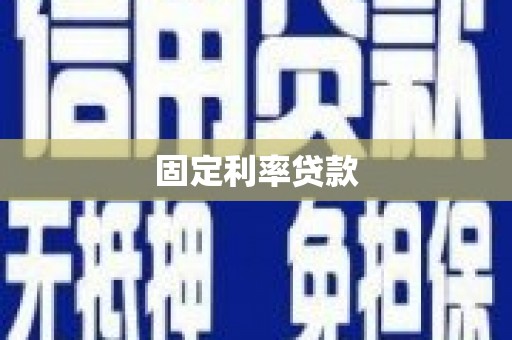 嵩县固定利率贷款