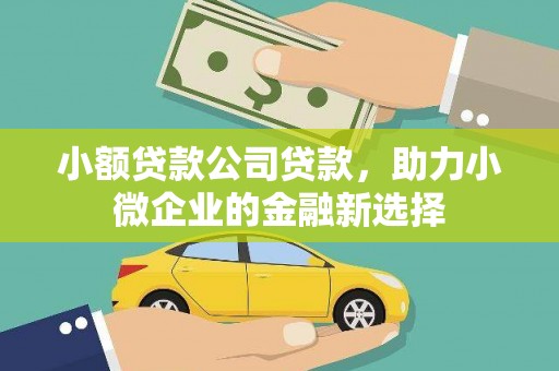 商州小额贷款公司贷款，助力小微企业的金融新选择