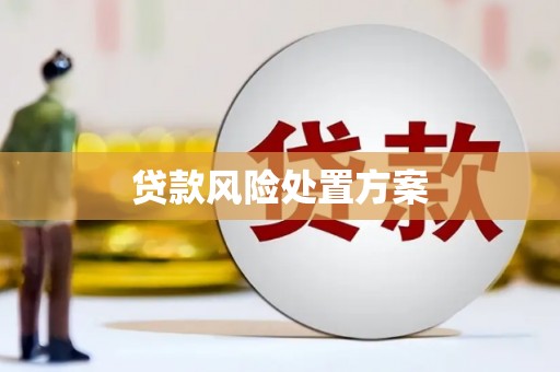 浦口贷款风险处置方案