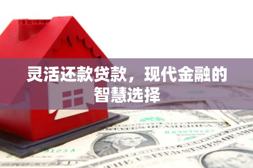 称多灵活还款贷款，现代金融的智慧选择