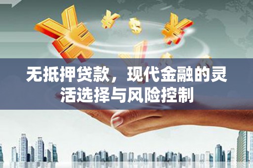 西秀无抵押贷款，现代金融的灵活选择与风险控制