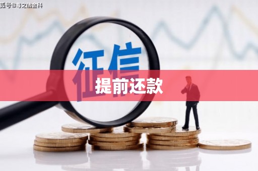 鱼峰提前还款