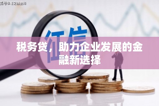 石鼓税务贷，助力企业发展的金融新选择