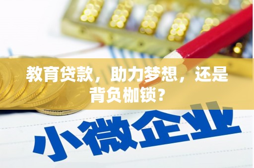 洪湖教育贷款，助力梦想，还是背负枷锁？