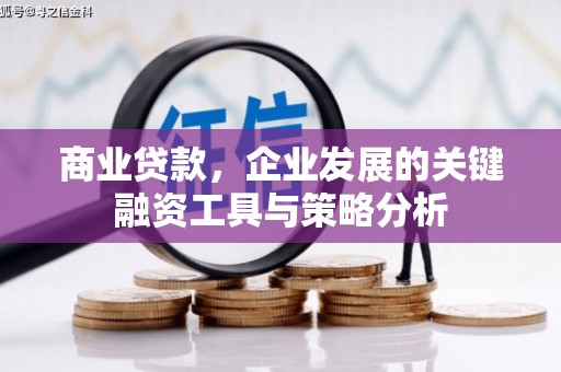 丰城商业贷款，企业发展的关键融资工具与策略分析