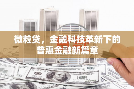 美兰微粒贷，金融科技革新下的普惠金融新篇章